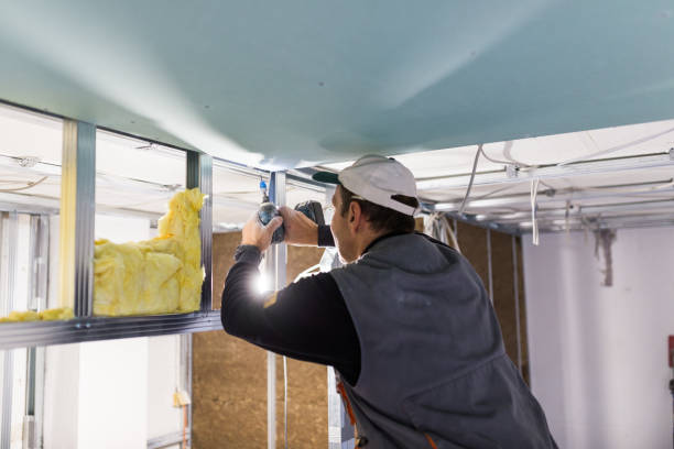 Types of Insulation We Offer in Lake Charles, LA